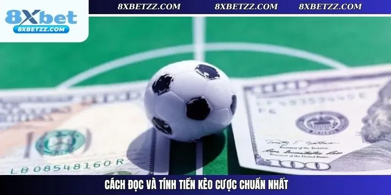 Cách đọc và tính tiền kèo cược chuẩn nhất